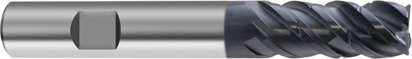 VHM Schaftfräser TF 100 MASTER-MILL P  10.00 mm