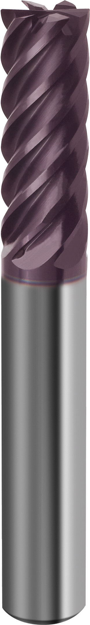 VHM Mehrzahn-Schaftfräser HP 100  10.00 mm