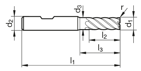 VHM Torusfräser TF 100 MASTER-MILL M  10.00 mm
